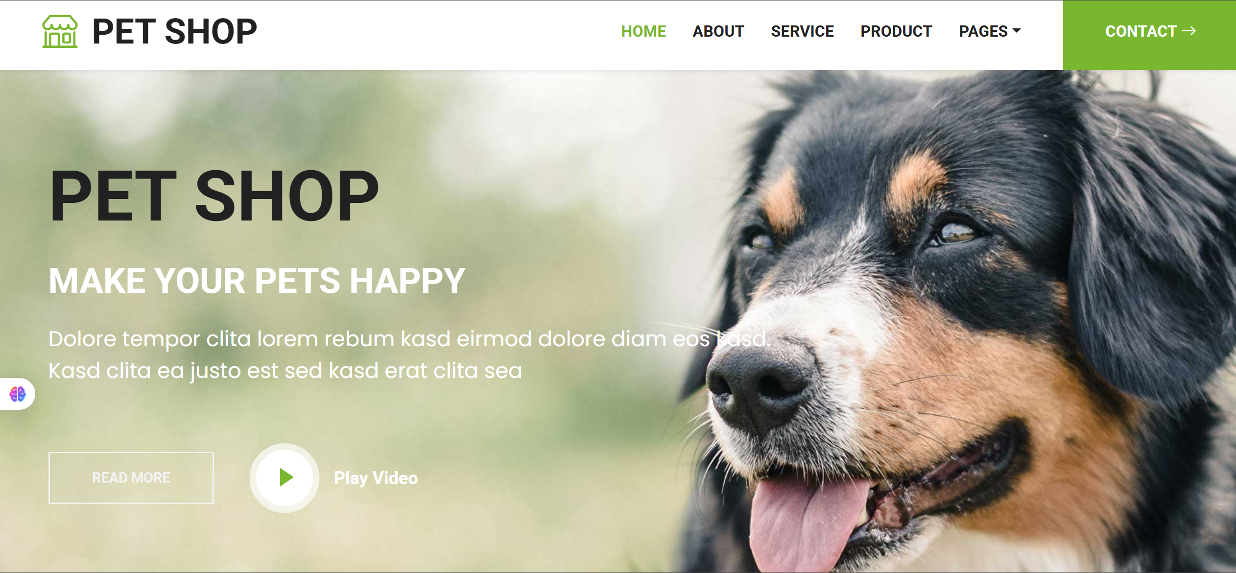Pets Informative Site project screenshot